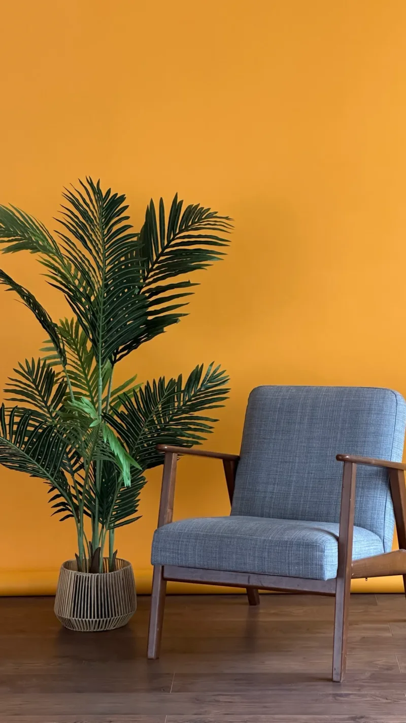 Warm yellow backdrop with tropical plant and armchair in Lite Studio